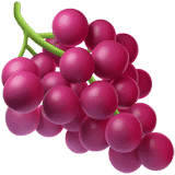 Muscat of Alexandria Grape