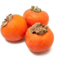 Early Jiro Asian Persimmon