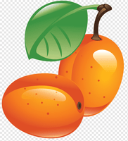 Orange Glow™ Sea Berry