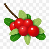 WSU Cranberry