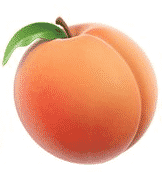 Katy Apricot