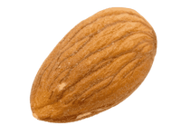 Nikita’s Pride™ Almond