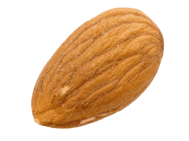 Oracle™ Almond